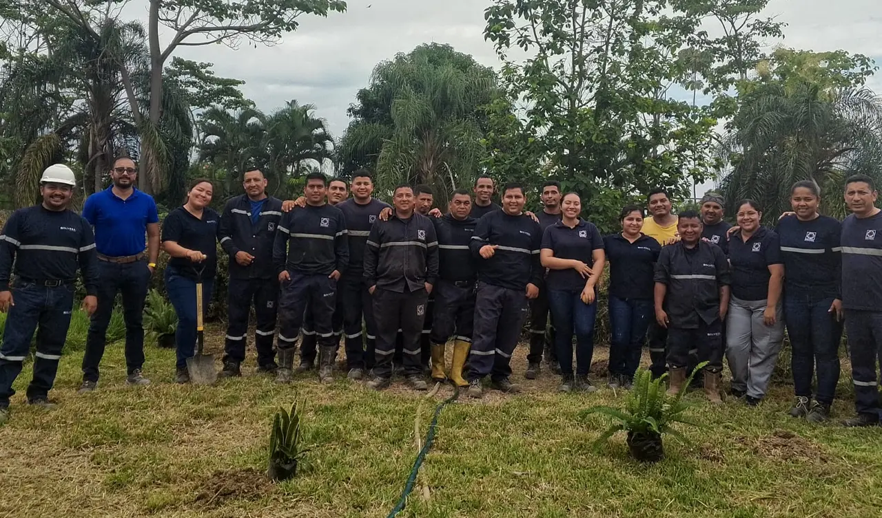 SOLVESA Reforesta: Sembrando un futuro sostenible SOLVESA Reforesta: Sembrando un futuro sostenible